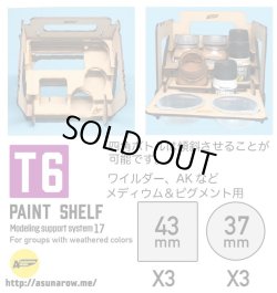 Photo2: ASUNAROW MODEL[17]PAINT SHELF T6