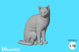 [Passion Models][P35T-027-2]1/16 Cats For Cat Lovers(2)