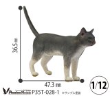 [Passion Models][P35T-028-1]1/12 Cats For Cat Lovers(1)