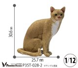 [Passion Models][P35T-028-2]1/13 Cats For Cat Lovers(2)