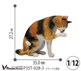 [Passion Models][P35T-028-3]1/14 Cats For Cat Lovers(3)