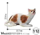 [Passion Models][P35T-028-4]1/15 Cats For Cat Lovers⑷