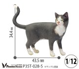 [Passion Models][P35T-028-5]1/16 Cats For Cat Lovers(5)