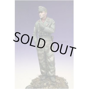 Photo: Alpine Miniatures[AM16001]Panzer Officer "Gro?deutschland"