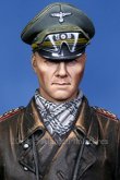 Photo3: Alpine Miniatures[AM16024]Erwin Rommel