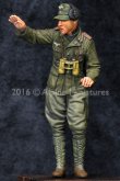 Photo3: Alpine Miniatures[AM35208]Tiger Commander Tunisia