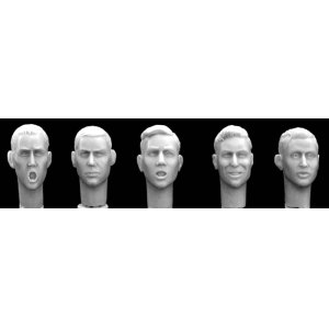 Photo: Hornet[HH01]5 bare different heads