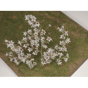 Photo: Iroha[MS-016] Small White Flower Set（2）