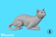 Photo6: [Passion Models][P35T-024]1/48 Cats For Cat Lovers 5psc