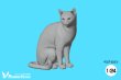 Photo4: [Passion Models][P35T-025]1/24 Cats For Cat Lovers 5psc