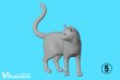 Photo7: [Passion Models][P35T-026]1/20 Cats For Cat Lovers　5psc