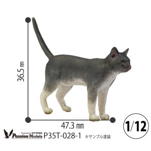 Photo: [Passion Models][P35T-028-1]1/12 Cats For Cat Lovers(1)