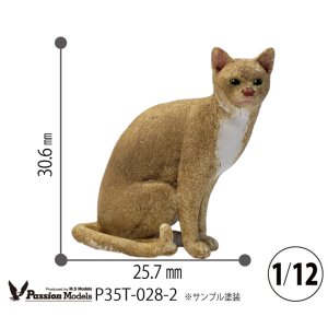 Photo: [Passion Models][P35T-028-2]1/13 Cats For Cat Lovers(2)