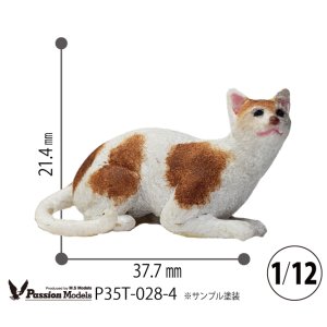 Photo: [Passion Models][P35T-028-4]1/15 Cats For Cat Lovers⑷