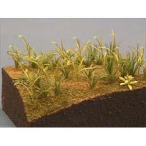 Photo: [Kamizukuri] [A-16] Weed,Foxtail Grass(1/35)