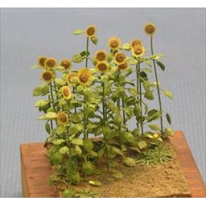 Photo: [Kamizukuri] [A-1-48] Sunflower (1/48 scale)