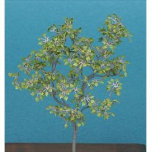 Photo: [Kamizukuri] [A-8-48] Lime Tree (1/48 scale)